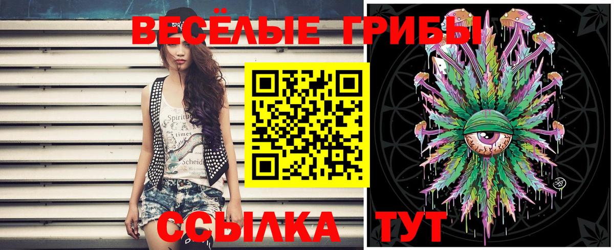Псилоцибиновые грибы Psilocybe  Вход с VPN  Псилоцибиновые грибы Psilocybine cubensis  Коммунар 